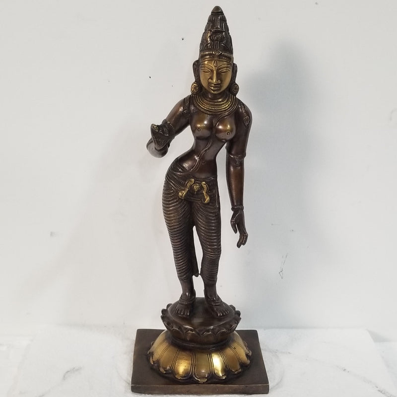 12"H x 4.5"W x 3.5"D Handcrafted Brass Parvati Standing