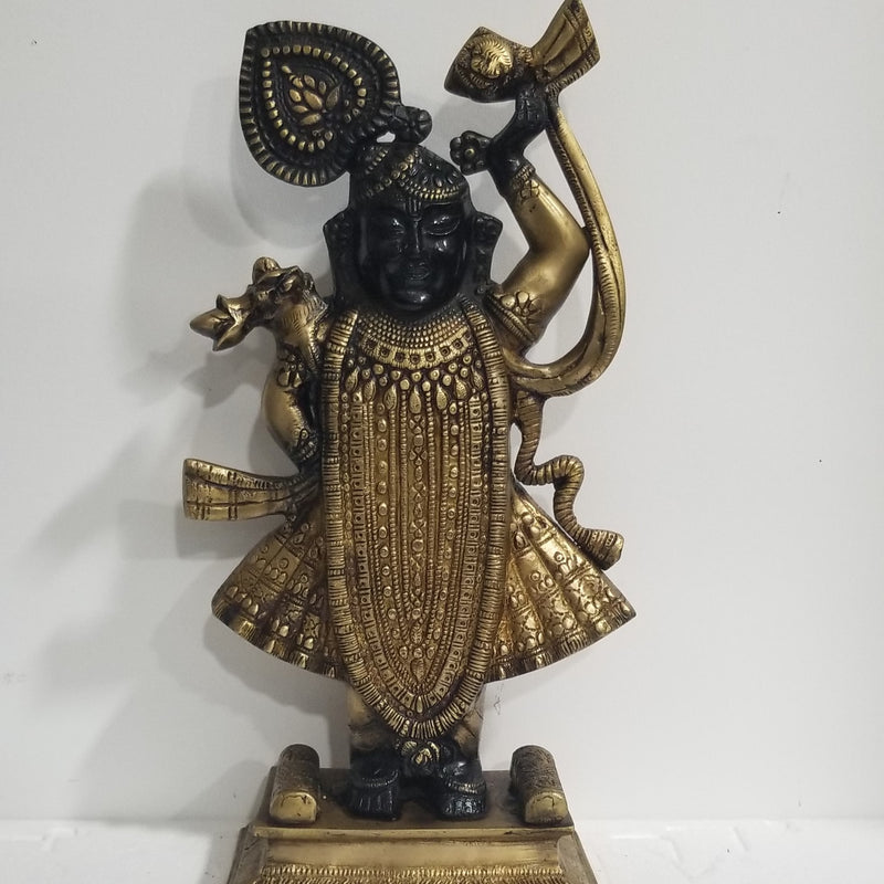 17"H x 8"W x 4"D Handcrafted Brass Shrinathji