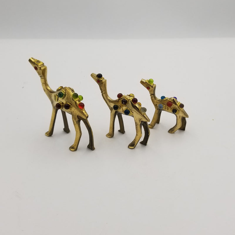 3.5" Brass Camel Nug Set of 3