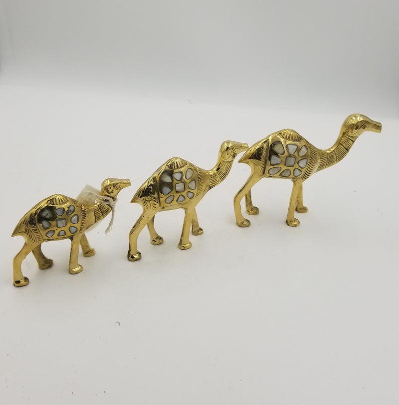 Brass Shell Camel Set MOP S/3