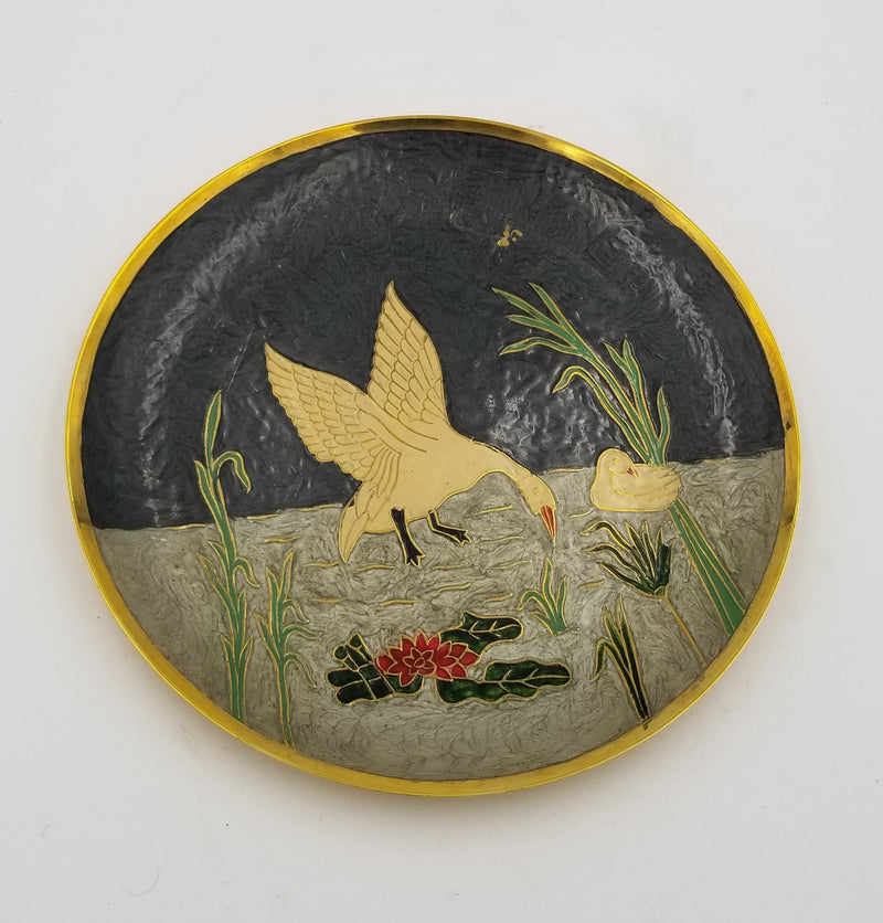 10" Brass Wall Plate EC