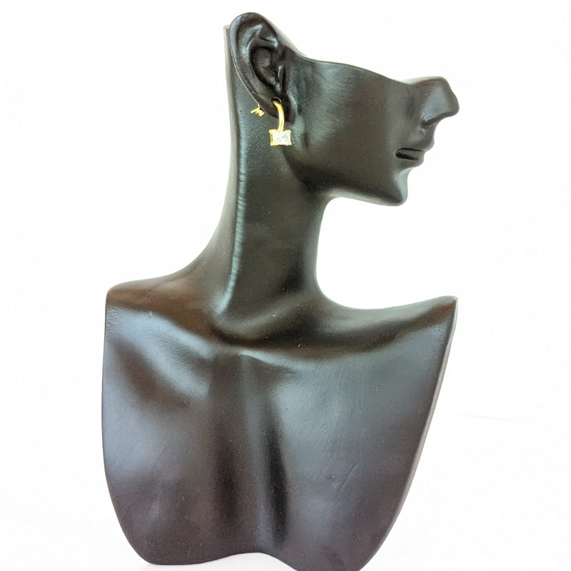 999 quality silver earring pair - ER017-FG