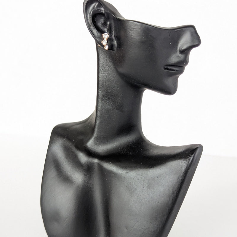999 quality silver earring pair - ER059-RGCZ