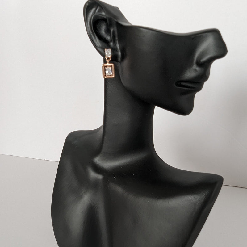 999 quality silver earring pair - ER063-RGCZ