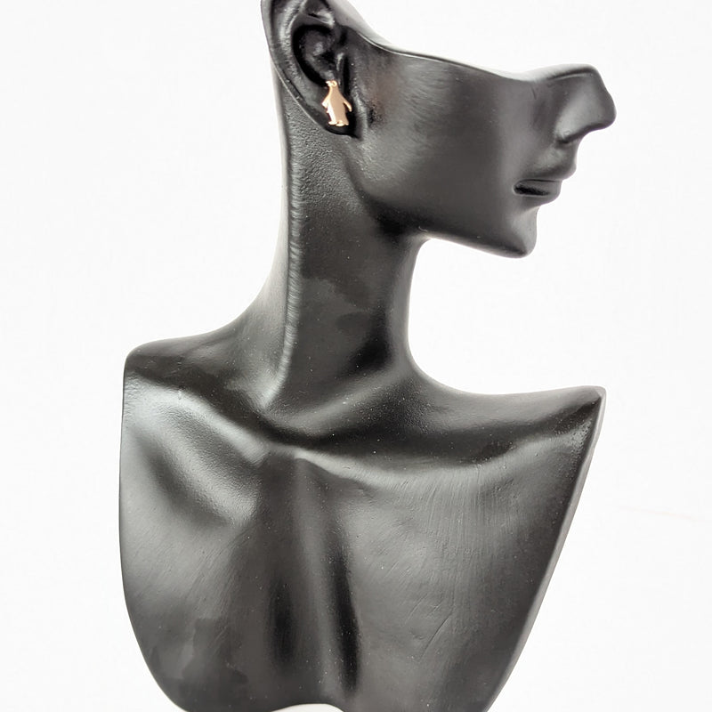 999 quality silver earring pair - ER087-RG