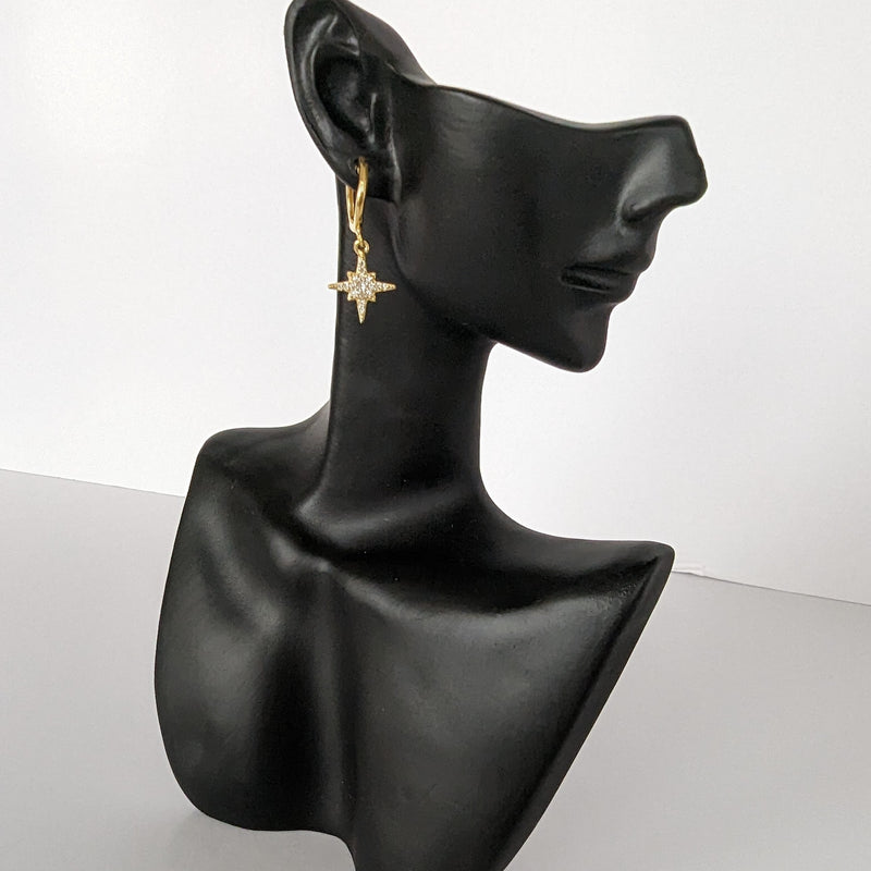 999 quality silver earring pair - ERH002