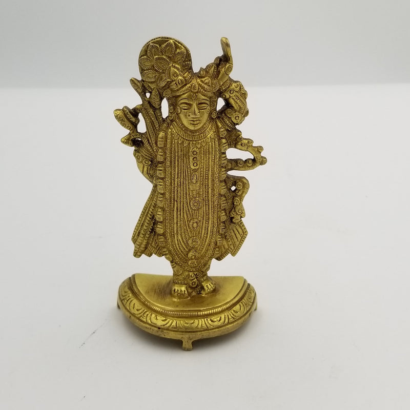 5.5" x 2.5" Brass Srinathji